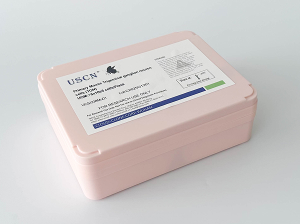 大鼠骨髓單核細(xì)胞(BMMC)原代細(xì)胞