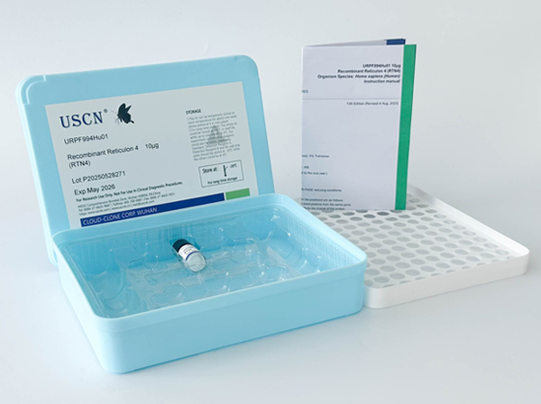 Ⅳ型膠原α1(COL4a1)重組蛋白